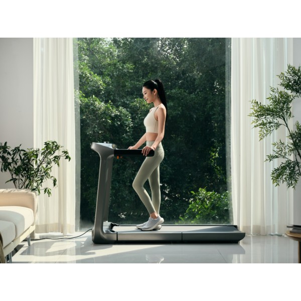 Фото - Беговая дорожка KingSmith WalkingPad Treadmill X218